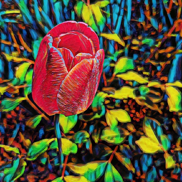 Happy 2025l! Thanks for supporting our small business!🌻🌈🥰💐🍄🎁🛍️💌 - Picture 6 of 17